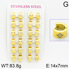 Stainless Steel Earrings  2E4001055bnib-671