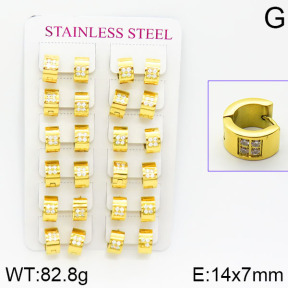 Stainless Steel Earrings  2E4001056bnib-671