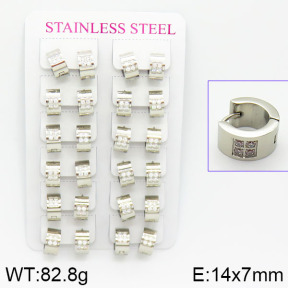 Stainless Steel Earrings  2E4001057bmmb-671