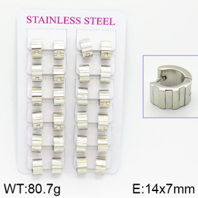 Stainless Steel Earrings  2E4001058amaa-671