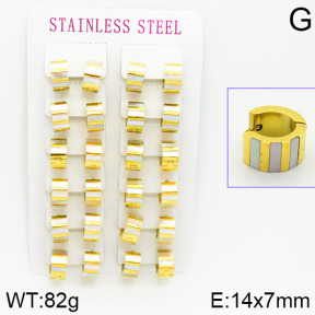 Stainless Steel Earrings  2E4001059bmmb-671