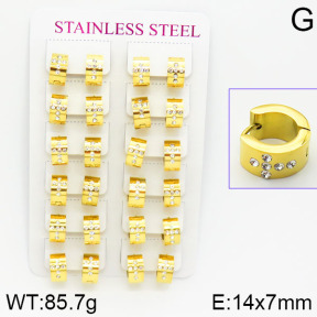 Stainless Steel Earrings  2E4001060akoa-671