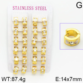 Stainless Steel Earrings  2E4001061amaa-671
