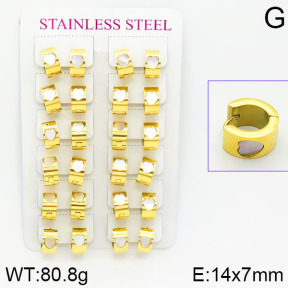 Stainless Steel Earrings  2E4001062alka-671
