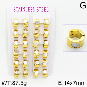 Stainless Steel Earrings  2E4001063alka-671
