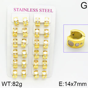 Stainless Steel Earrings  2E4001064amaa-671