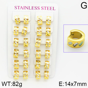 Stainless Steel Earrings  2E4001065amaa-671