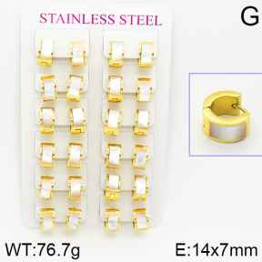 Stainless Steel Earrings  2E4001066bnib-671