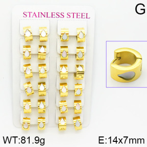 Stainless Steel Earrings  2E4001067bmmb-671