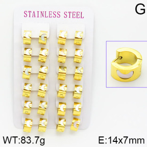 Stainless Steel Earrings  2E4001068bmmb-671
