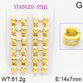 Stainless Steel Earrings  2E4001069bnob-671