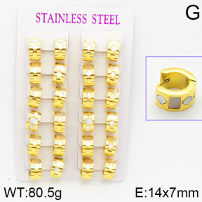 Stainless Steel Earrings  2E4001070bnob-671