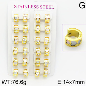 Stainless Steel Earrings  2E4001071bnob-671