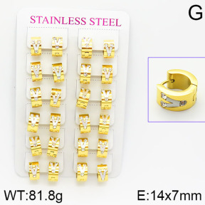 Stainless Steel Earrings  2E4001072bmmb-671