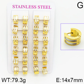 Stainless Steel Earrings  2E4001073bnib-671