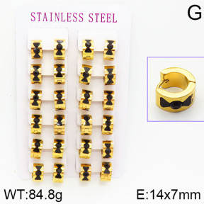Stainless Steel Earrings  2E4001074bmmb-671