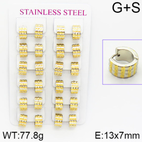 Stainless Steel Earrings  2E4001075alka-671