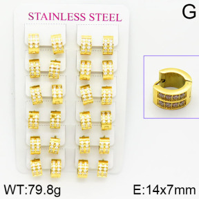 Stainless Steel Earrings  2E4001076bpvb-671