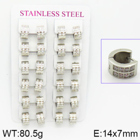 Stainless Steel Earrings  2E4001077bokb-671