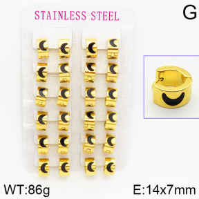 Stainless Steel Earrings  2E4001078bmmb-671