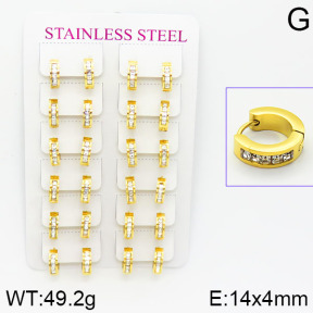 Stainless Steel Earrings  2E4001079amaa-671