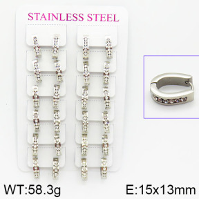 Stainless Steel Earrings  2E4001081alka-671