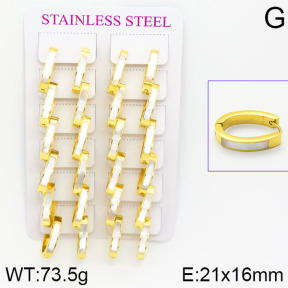 Stainless Steel Earrings  2E4001082bpvb-671