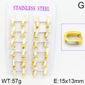Stainless Steel Earrings  2E4001083bnob-671