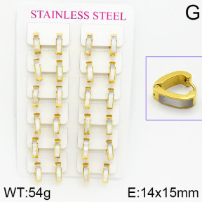 Stainless Steel Earrings  2E4001084bnib-671