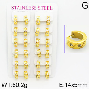 Stainless Steel Earrings  2E4001085alka-671