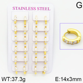 Stainless Steel Earrings  2E4001086bmmb-671