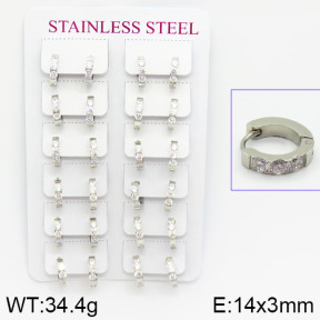 Stainless Steel Earrings  2E4001087amaa-671