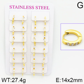 Stainless Steel Earrings  2E4001088bmmb-671