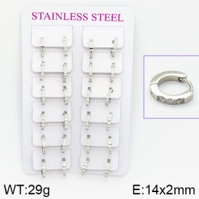 Stainless Steel Earrings  2E4001089amaa-671