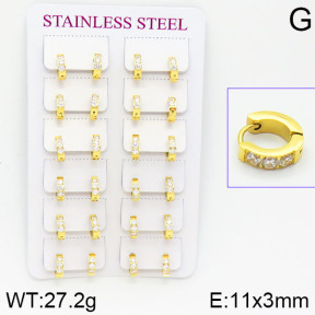Stainless Steel Earrings  2E4001090bmmb-671