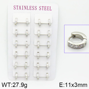 Stainless Steel Earrings  2E4001091amaa-671