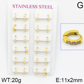 Stainless Steel Earrings  2E4001092bmmb-671