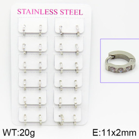 Stainless Steel Earrings  2E4001093amaa-671