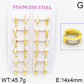 Stainless Steel Earrings  2E4001094alka-671
