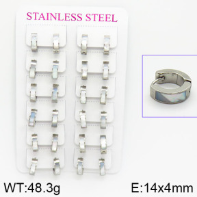 Stainless Steel Earrings  2E4001095akoa-671