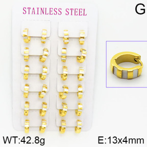 Stainless Steel Earrings  2E4001096amaa-671