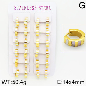 Stainless Steel Earrings  2E4001097amaa-671