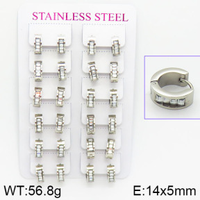 Stainless Steel Earrings  2E4001098akoa-671
