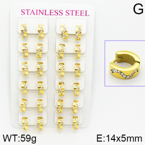 Stainless Steel Earrings  2E4001099alka-671
