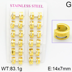 Stainless Steel Earrings  2E4001100bmmb-671