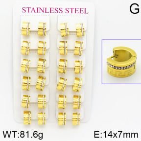 Stainless Steel Earrings  2E4001101amaa-671