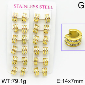 Stainless Steel Earrings  2E4001102bmmb-671