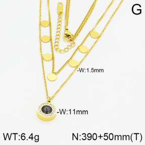 Stainless Steel Necklace  2N4000532vhha-669