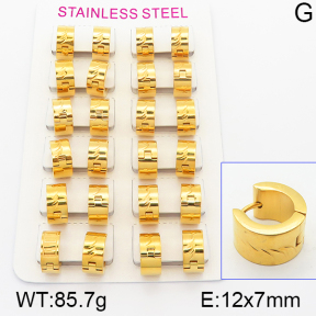 Stainless Steel Earrings  5E2001133alka-387