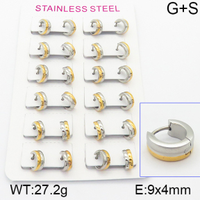 Stainless Steel Earrings  5E2001136alka-387